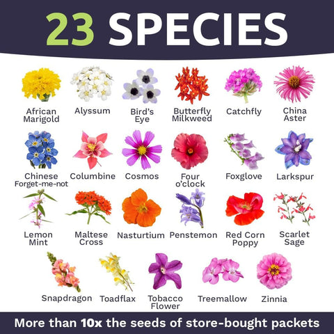 Bulk Wildflower Seeds Butterfly and Hummingbird Mix - 1 Pound Bag - Over 120,000 Open Pollinated Annual and Perennial Seeds
