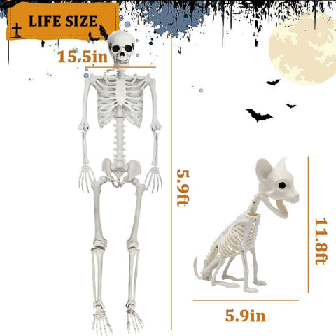5.9Ft Halloween Life Size Skeleton with Cat for Halloween Party Decor