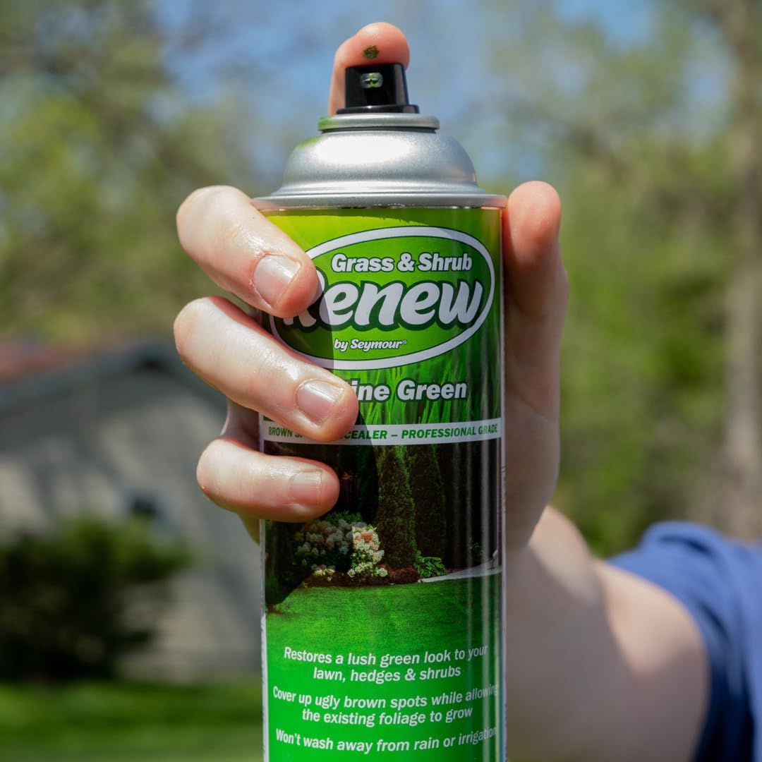 Seymour RENEW Grass and Shrub Spray Paint, Pristine Green, 17 oz. Can.