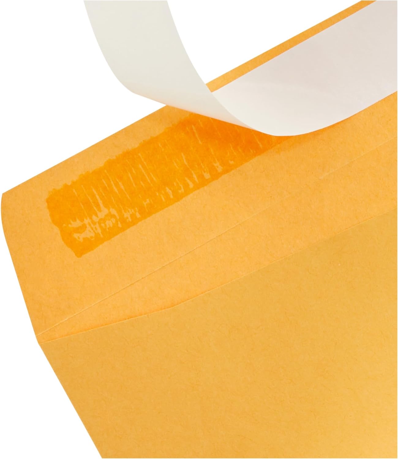 Amazon Basics Catalog Self Seal Mailing Envelopes, Peel and Seal, 10" x 13", Brown Kraft, 250-Pack