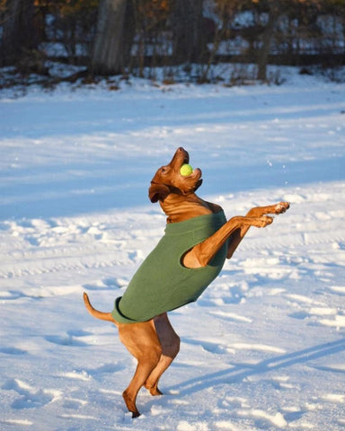Gooby Stretch Fleece Vest Dog Sweater, Pumpkin, 4X-Large