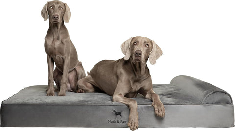 NOAH & PAW Giant Dog Bed XXL 55x45x9.5 Inch, Orthopedic Dog Beds, Eggshell Memory Foam Infused with Cooling Gel, Water Resistant, Machine Washable, Includes Inner Cover