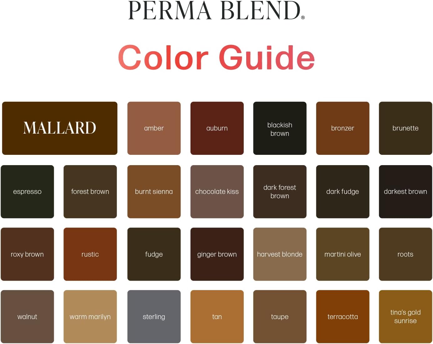 Perma Blend Cool Eyebrow Tattoo Ink Mini Set