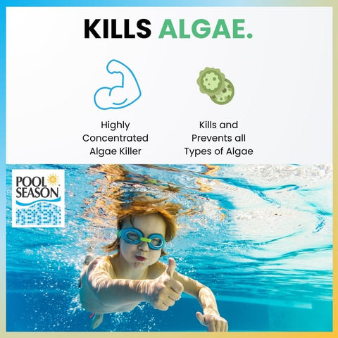 Polyquat 60 Algaecide for Swimming Pool, Highly Concentrated, 32 oz