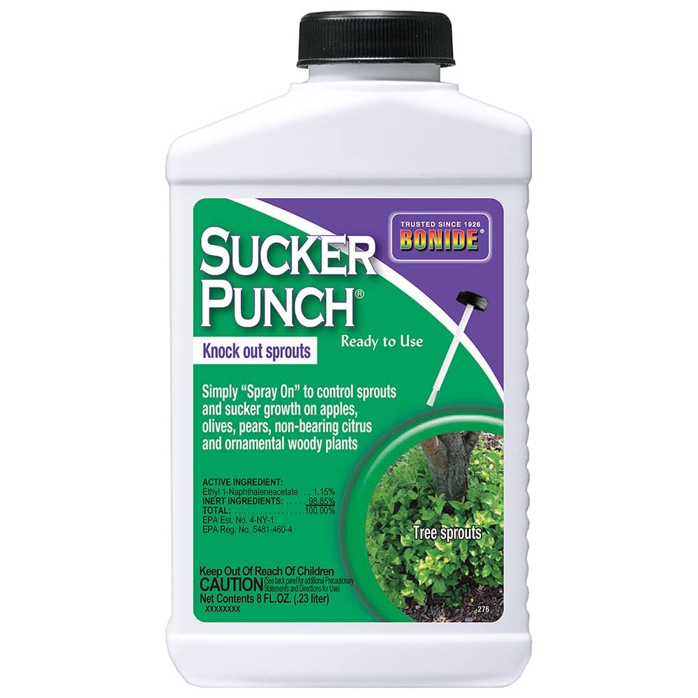Bonide Sucker Punch Knock out Sprouts 8 oz