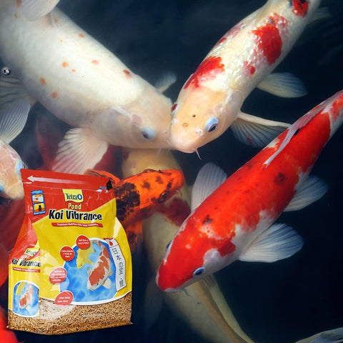 Tetra Pond Koi Vibrance Soft Sticks, Floating Pond Fish Food, 2.42 lbs