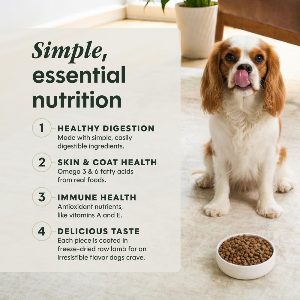 Instinct Limited Ingredient Diet Dry Dog Food, Real Lamb, 20 lb. Bag