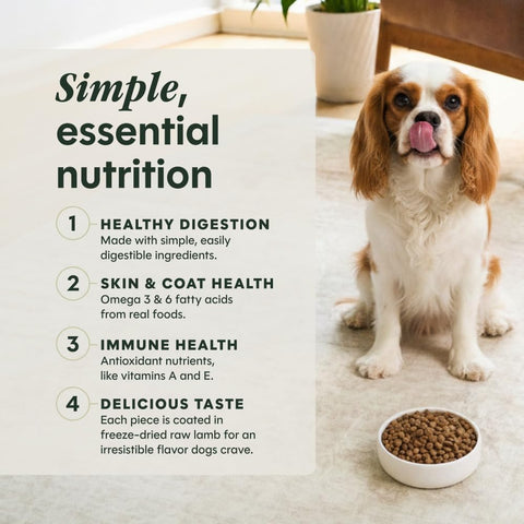 Instinct Limited Ingredient Diet Dry Dog Food, Real Lamb, 20 lb. Bag