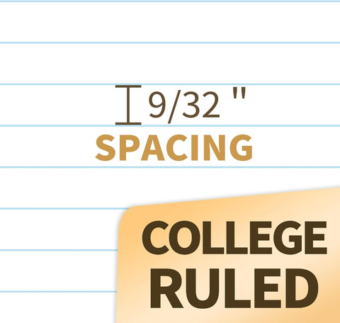 SUNEE Spiral Notebooks College Ruled, 1-Subject, 4 Pack, 8 x 10-1/2 inch, 70 Sheets per Notebook, 3-Hole Punched Paper, Green, Grey, Beige, Red for Work, Home & School, Writing Journal