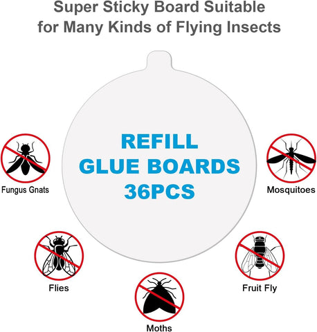 4.3-inch Katchy Replacement Rubber Plate, Indoor Rubber Plate Filled with Sticky Card Suitable for Indoor Insect, Fly, and Mosquito Trap, Insect Trap, and Mosquito Lamp