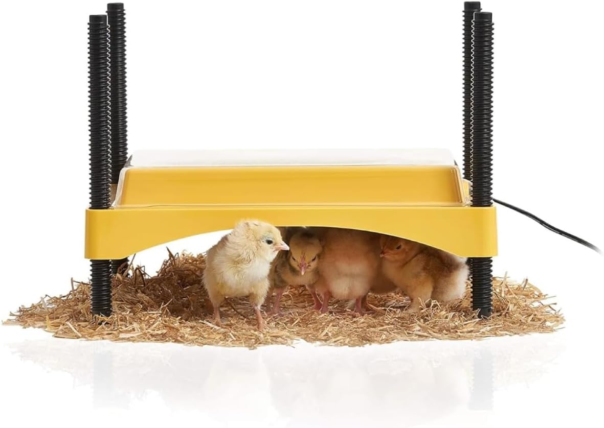 Brinsea Ecoglow Safety 600 Chick or Duckling Brooder, Up to 20 Chicks