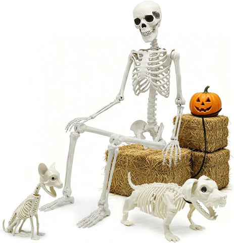 5.4ft Halloween Full Size Skeleton with Dog Cat for Haunted Party Decor