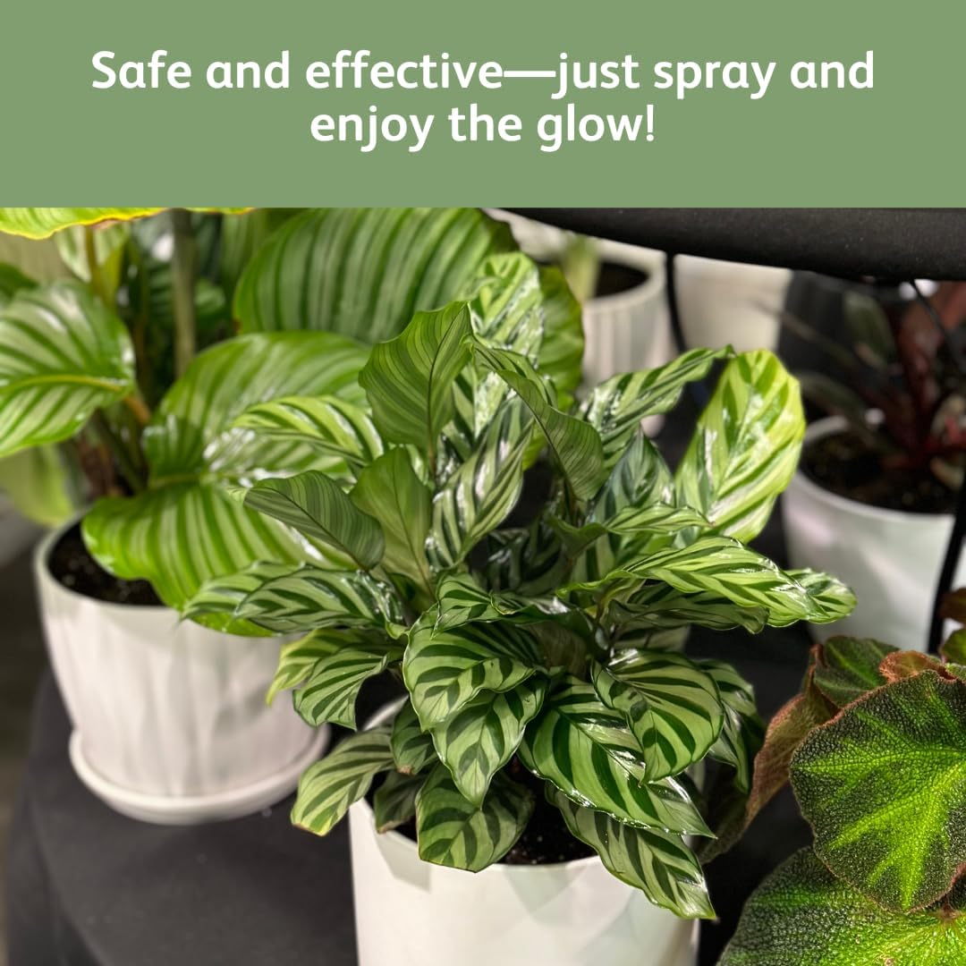 Chrysal LeafShine Spray for Indoor Plants (25oz 6 Pack)