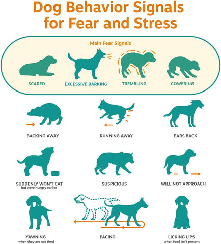 Zesty Paws Advanced Calming Chews for Dogs - Melatonin, Bacon, 90 Ct