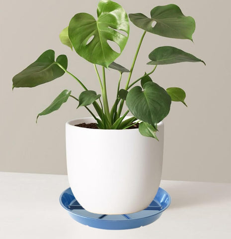 Plant Saucer Pot Tray 6 inch, 6 Packs Flower Planter Saucers and Drip Trays, Blue