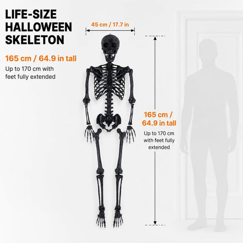 Life Size Skeleton, 5.4Ft/165cm Halloween Skeleton Poseable Skeleton Full Body Human Bones with Movable Joints for Indoor Outdoor Halloween Props Decorations (5.4FT& Black)