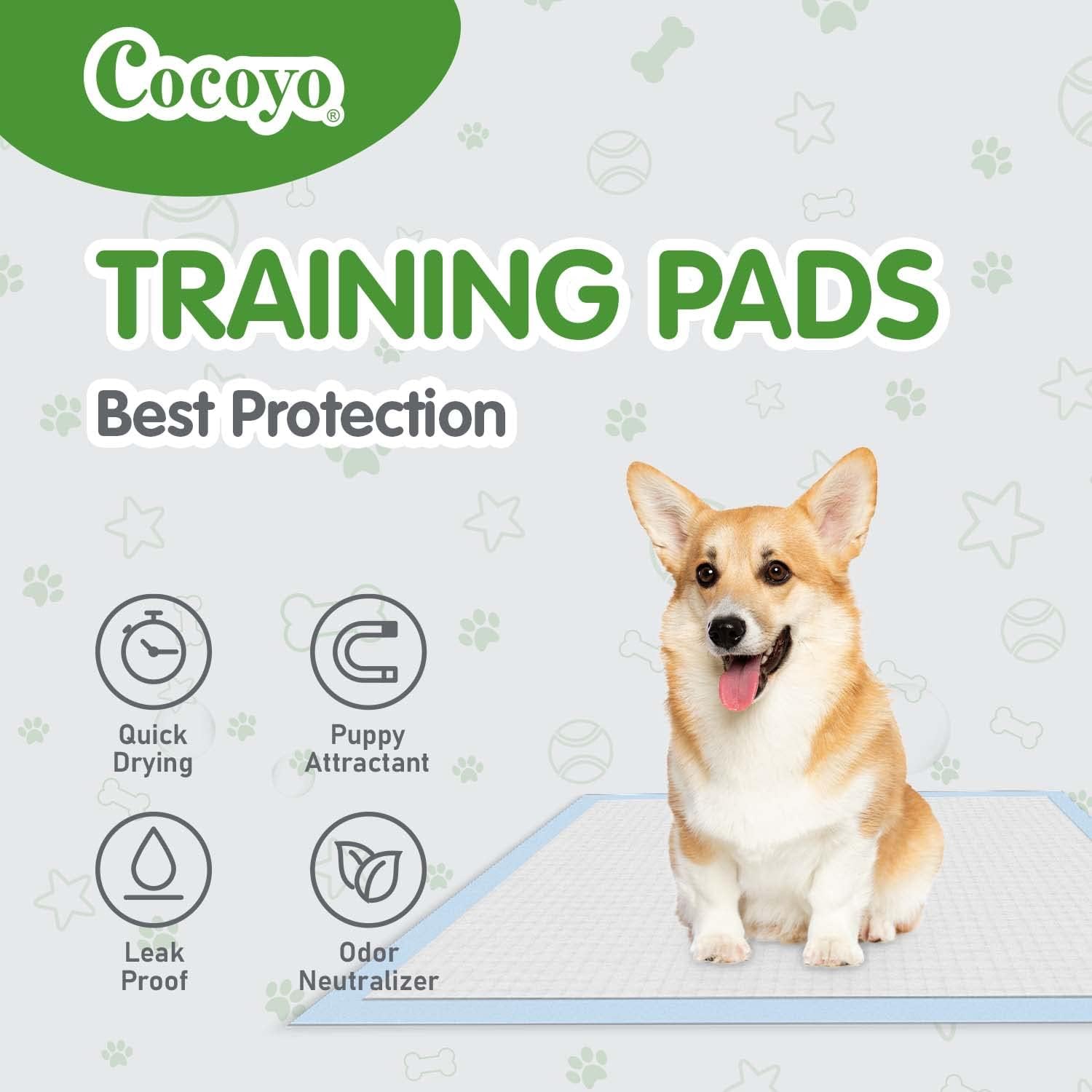 COCOYO Earth Friendly Bamboo Training Pads, 100 Count, Super Absorbent and Deodorizing Pee Pads for Dogs