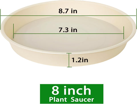 2 Pack of 8 inch Plant Saucer Clear, Heavy Duty Plastic Plant Water Tray 8 inch Round, Flower Plant Saucers for Indoors No Holes, Plant Dishes Saucer for Planter 7"/8" (8", Beige)
