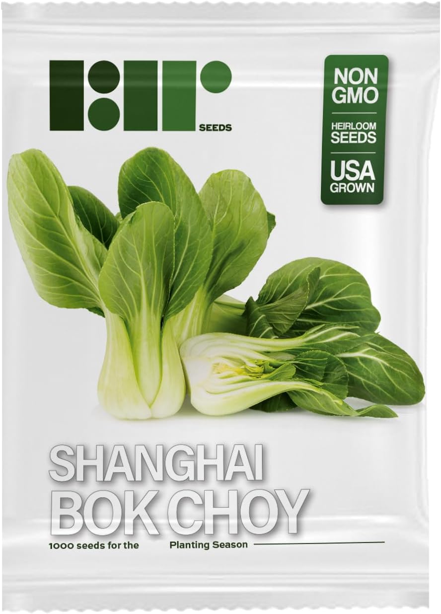 1000 Baby Bok Choy Seeds - Shanghai Green Stem - Heirloom Non-GMO Vegetable Seeds for Planting - AKA Pak Choi, Pok Choi, Chinese Cabbage