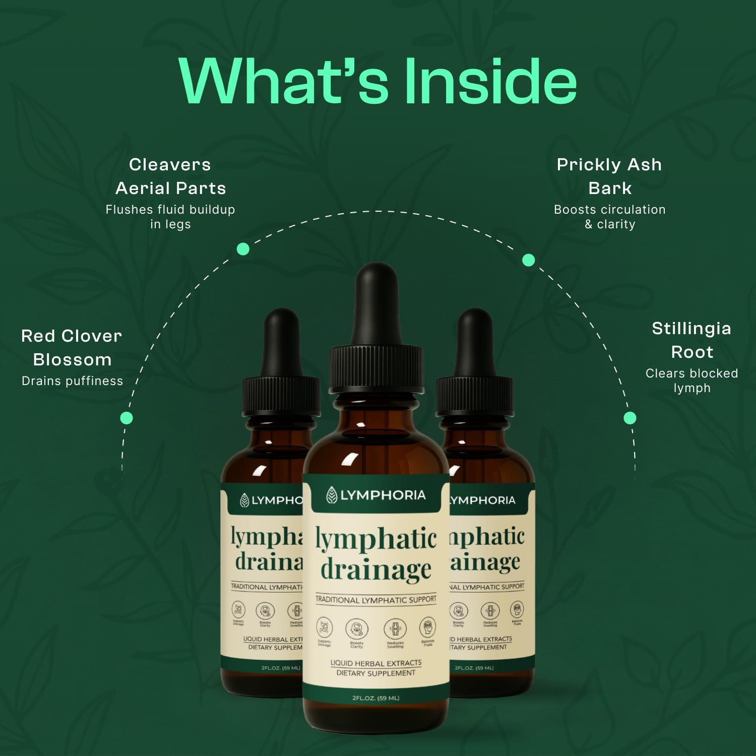 Lymphatic Drainage Drops for Bloat Relief & De-Puff – Cleavers, Red Clover, Stillingia Root & Prickly Ash Bark – Lymph Node Detox Cleanse, Fluid Retention – Alcohol-Free, Vegan, 2 Fl Oz