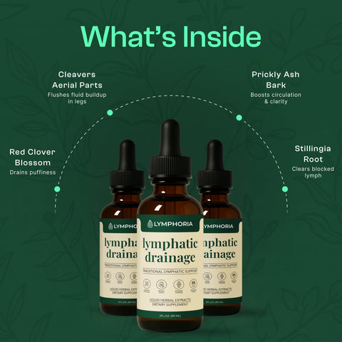 Lymphatic Drainage Drops for Bloat Relief & De-Puff – Cleavers, Red Clover, Stillingia Root & Prickly Ash Bark – Lymph Node Detox Cleanse, Fluid Retention – Alcohol-Free, Vegan, 2 Fl Oz