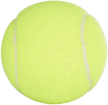 Penn Championship Tennis Balls - Regular Duty