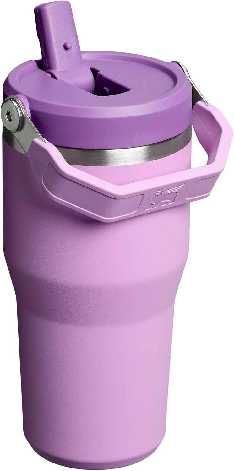 STANLEY IceFlow 2.0 Flip Straw Tumbler, 20 oz, Lilac