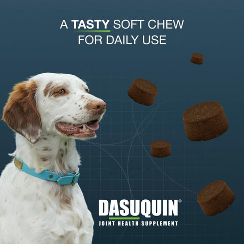 Nutramax Dasuquin MSM Joint Supplement, Small/Med Dogs, Soft Chews, 84ct
