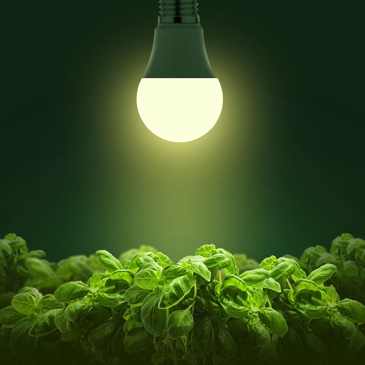 Briignite Grow Light Bulbs, LED Grow Light Bulb A19 Bulb, Full Spectrum