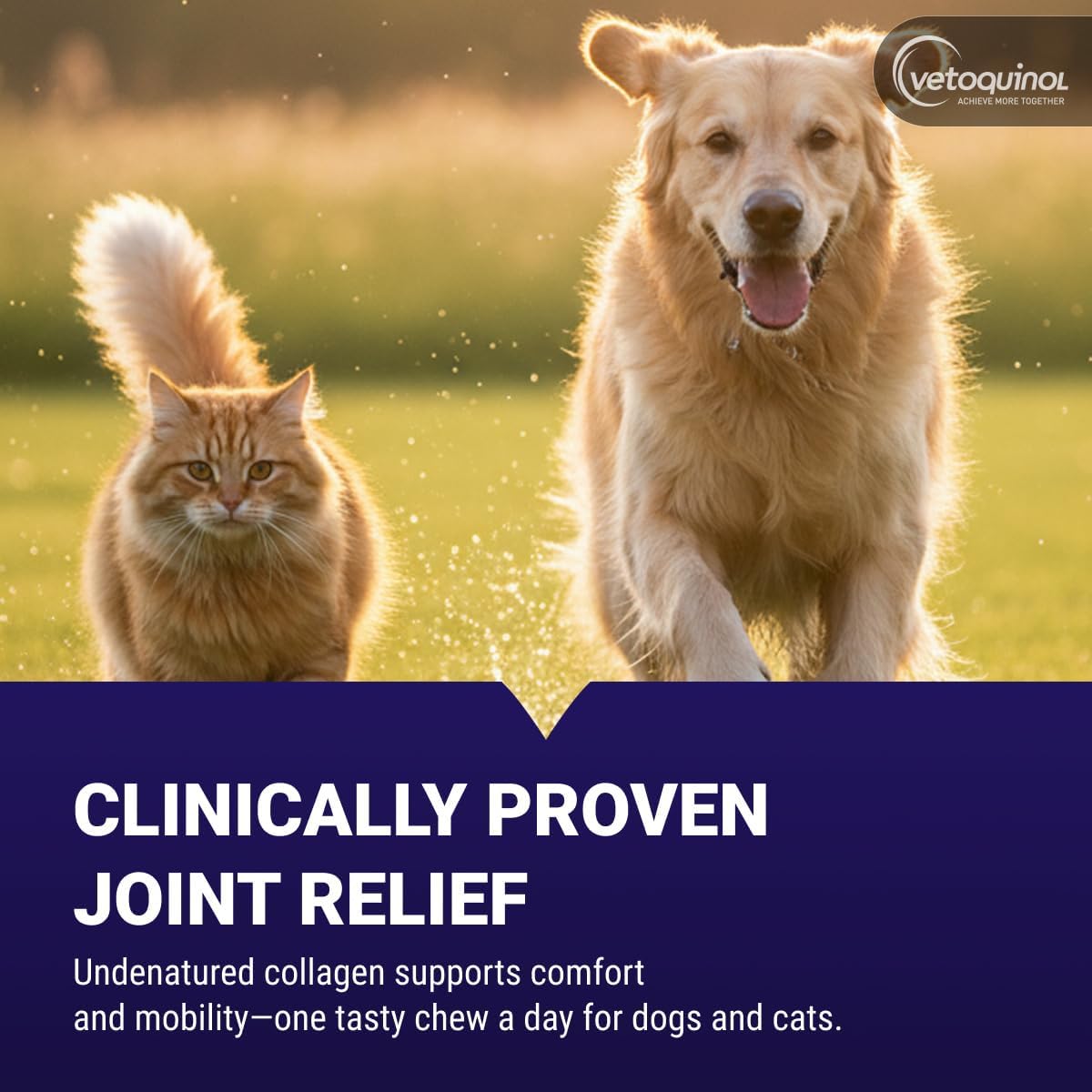 Vetoquinol Flexadin Advanced Hip and Joint Supplement with Undenatured Collagen for Dogs, One Chew a Day Hip and Joint Support Chew for Dogs and Cats, Clinically Proven Vet-Approved Formula, 60 Chews