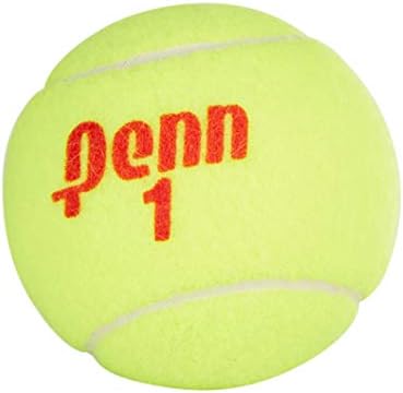Penn Championship Tennis Balls - Regular Duty