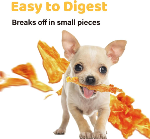 iPaw Turkey Tendon for Dogs, All Natural Human Grade Puppy Chew, Strips
