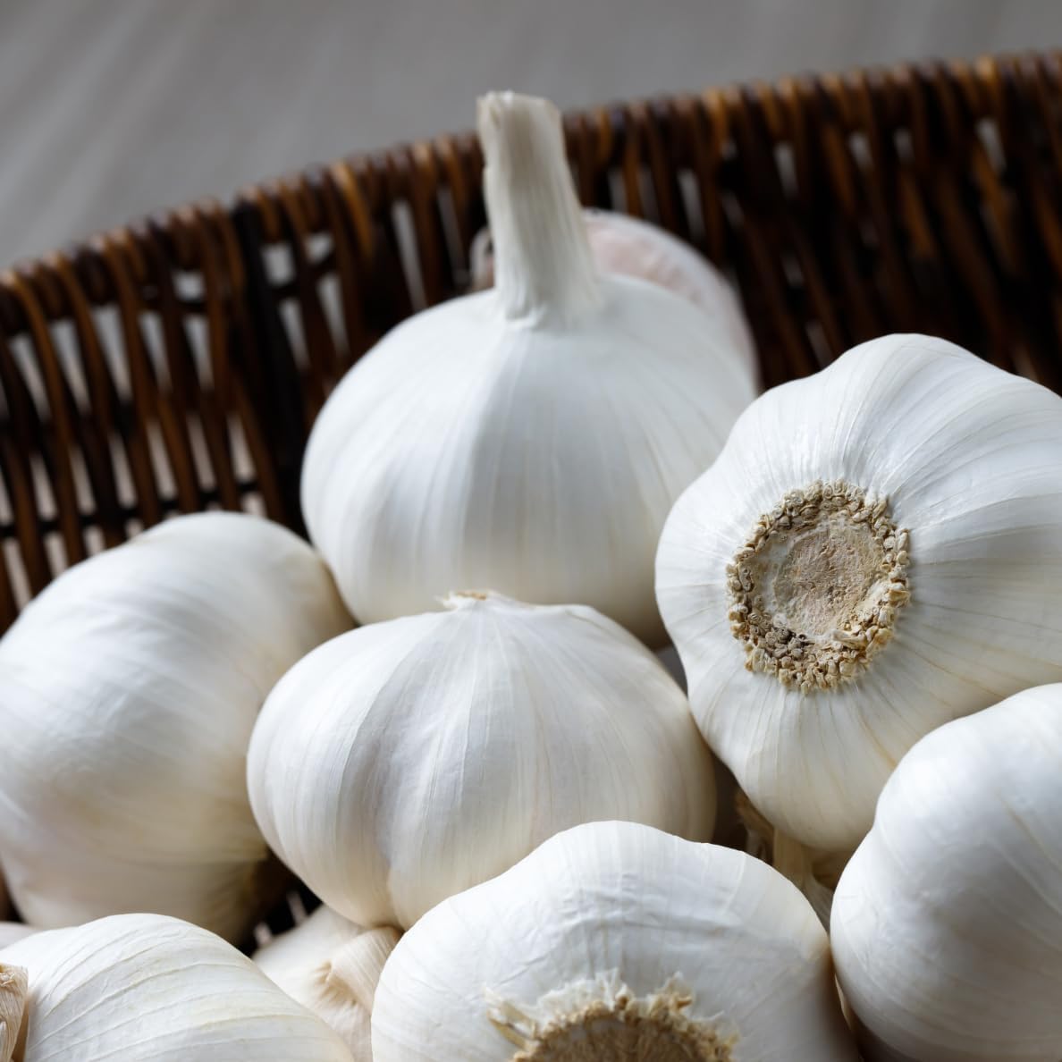 4 Heirloom Hardneck Garlic Bulbs for Planting - Pack Music Garlic Bulbs for Planting, Seed Garlic