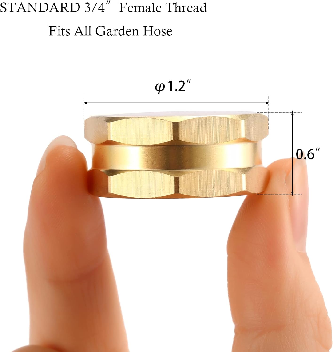2 Pack Garden Hose End Caps with Washers, Brass Spigot Cap, 3/4" Female End Cap