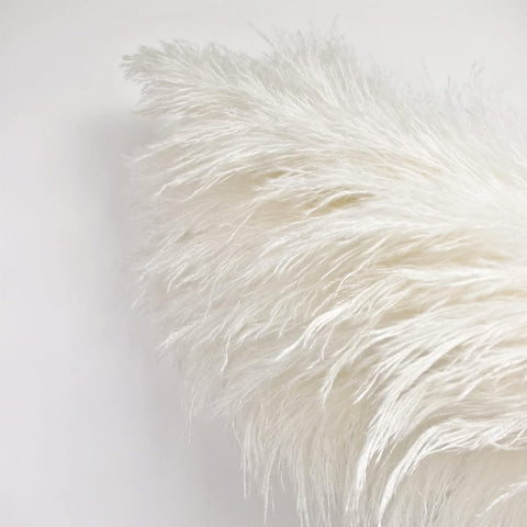10 Stems 46" inch White Pampas Grass Decor Tall, Large Pompas Grass, Boho Neutral Home Decor Bouquet, Fluffy Pampass Grass for Floor Vase Wedding Floral Arrangements Wall Farmhouse Table Decor