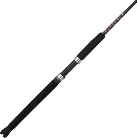 Ugly Stik Bigwater Spinning Fishing Rod