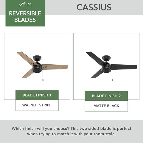 Hunter Cassius, Outdoor or Indoor, Ceiling Fan, 44 inch, Matte Black