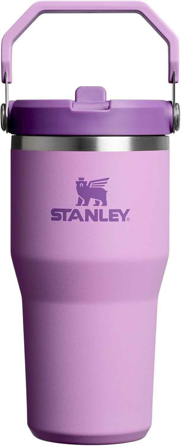 STANLEY IceFlow 2.0 Flip Straw Tumbler, 20 oz, Lilac