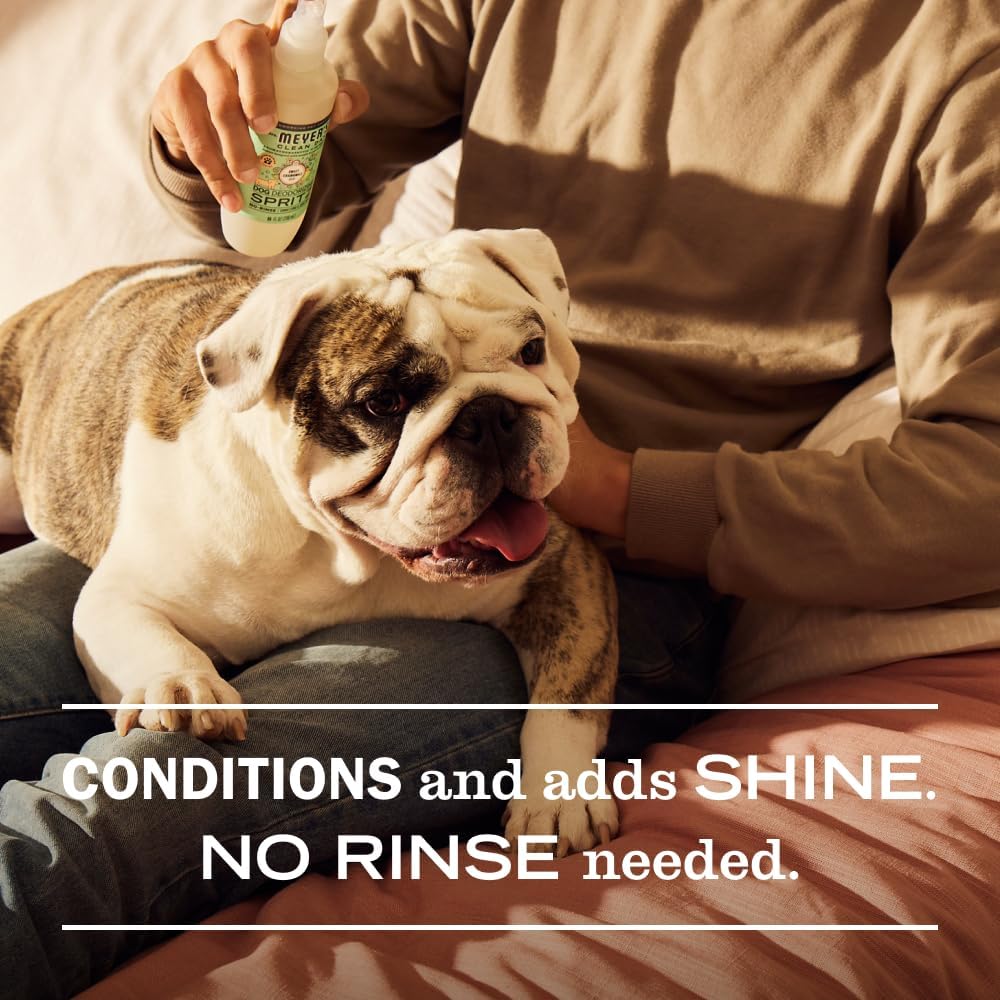 MRS. MEYER'S Clean Day Dog Deodorizing Spray, Sweet Chamomile Scent, 8oz
