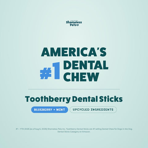 Shameless Pets Blueberry & Mint Dental Chews for Dogs, 8 Chews