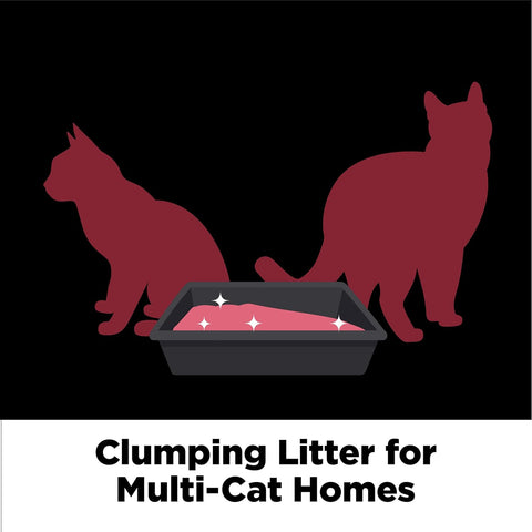 ARM & Hammer Clump & Seal Platinum Clumping Cat Litter, Online Only, 18 Lbs
