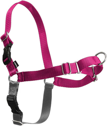 PetSafe Easy Walk Harness, No Pull Dog Harness, Raspberry, Large