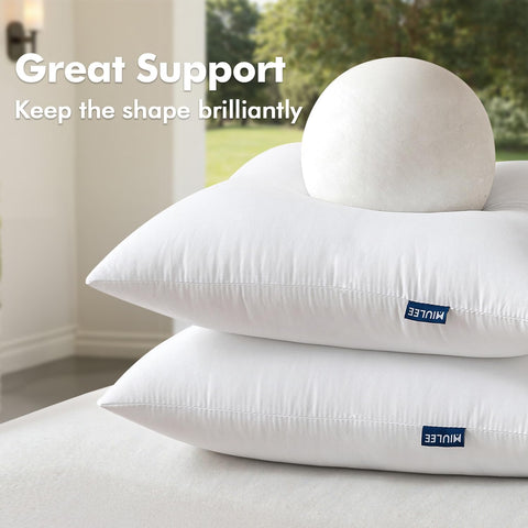 MIULEE Pack of 2 18x18 Inch Outdoor Pillow Inserts