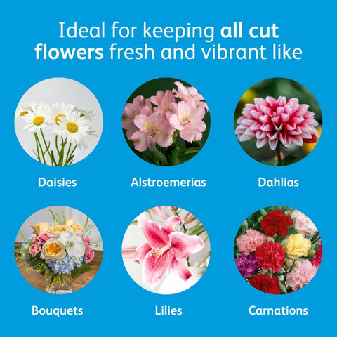 Chrysal Flower Boost – Clear Flower Food Packets for Flower Arrangements & Bouquets – Floral Supplies for Fresh Flowers – Fresh Flower Arrangements Supplies (10g - 100 Ct)
