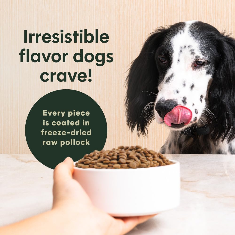 Instinct Original Dry Dog Food, Raw Coated Kibble, Real Beef, 20 lb. Bag