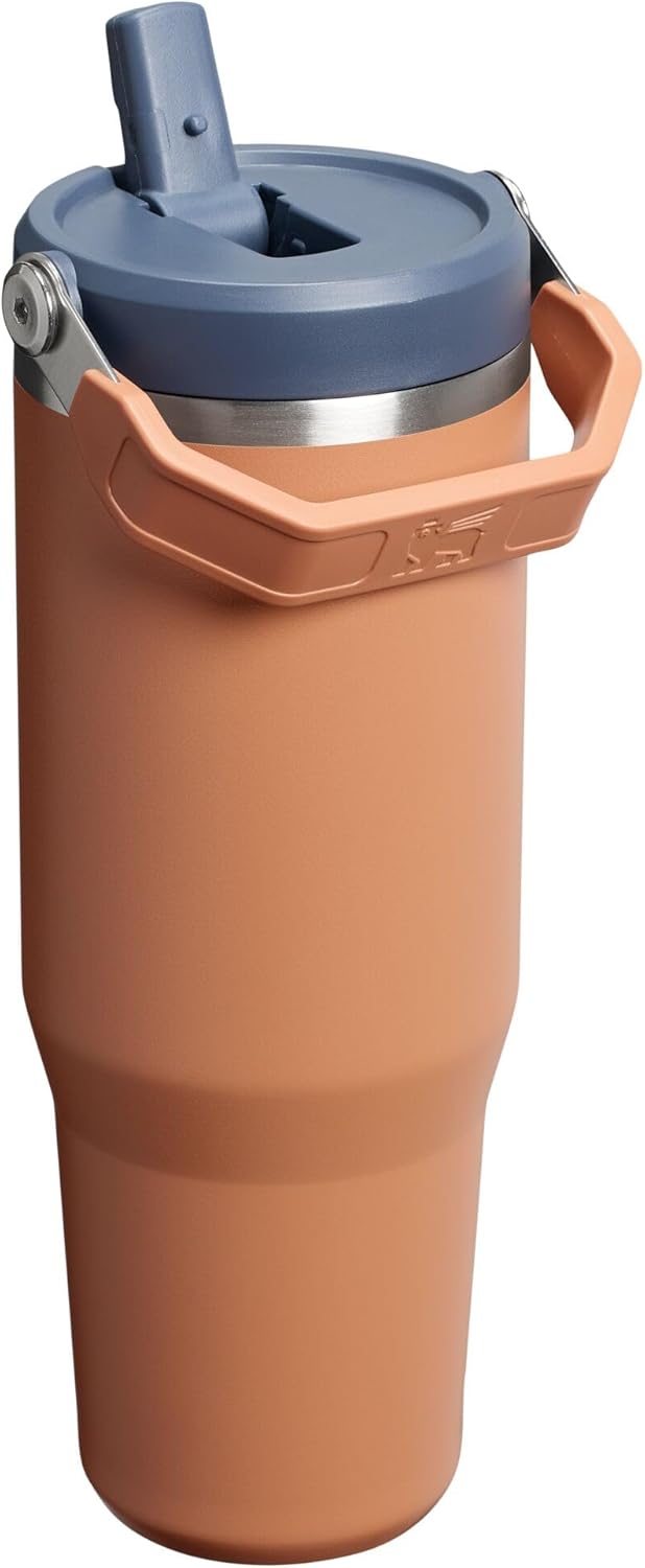 STANLEY IceFlow 2.0 Flip Straw Tumbler, 30 oz, Toast