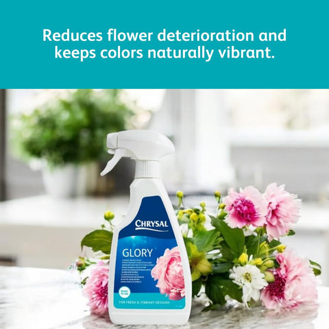Chrysal Glory Flower and Foliage Finish — Floral Supplies for Fresh Flowers — Spray for Fresh Cut Flower Arrangements — Cut Flower Preservative Spray — Ideal Florist Supplies (2 Pack)