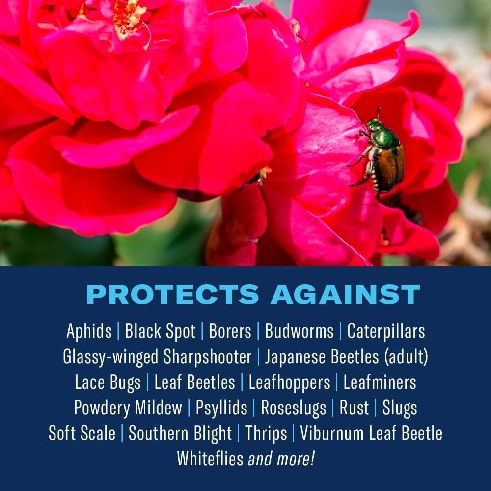 BioAdvanced All-In-One Rose and Flower Care Granules - Fertilizer, Insect Control & Disease Control - Prevents Pests and Diseases - Up to 6 Weeks Protection - Plant Food - 4 lb Bottle