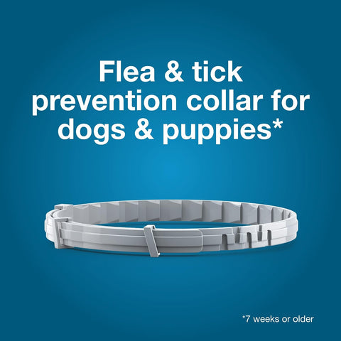 Seresto Small Dog Vet-Recommended Flea & Tick Treatment & Prevention Collar for Dogs Under 18 lbs | 8 Months Protection