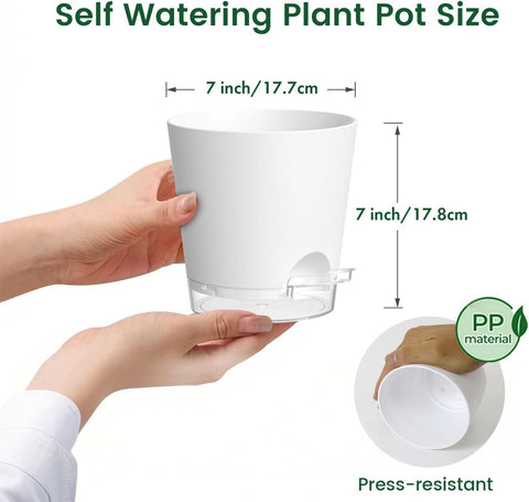 Meowell 7 inch Self Watering Pots for Indoor Plants, 5 Pack Plant Pots with Drainage Holes & Clear Reservoir for Visible Water Level, Plastic Wicking Planter Pots for House Plants and Flower, White